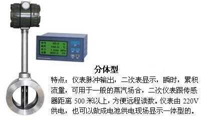 蒸汽流量表分體型產(chǎn)品圖