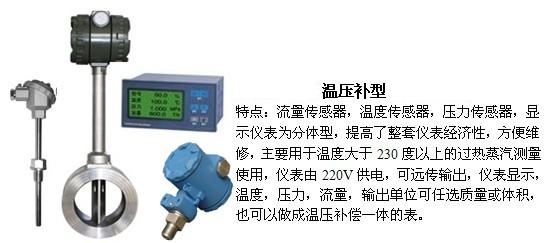 dn65蒸汽流量計溫度壓力補償型產(chǎn)品圖